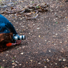 RobertQvistPhotography-3