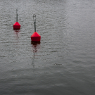 RobertQvistPhotography-6